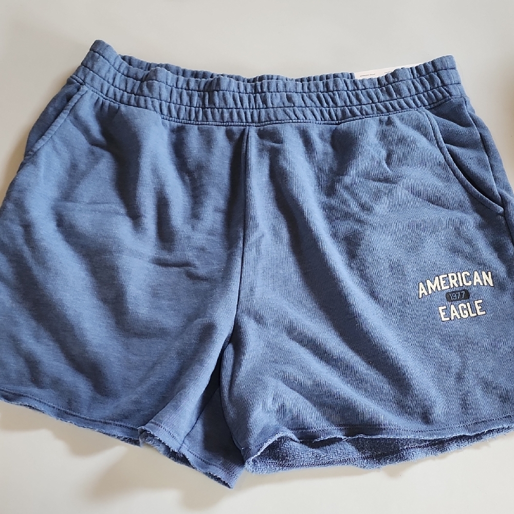 American Eagle Outfitters Women's Athletic Blue Shorts Large
